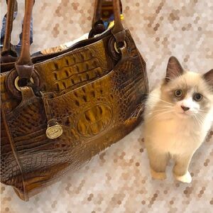 Brahmin handbag. Vintage Euc.multi pockets, long satchel handles.